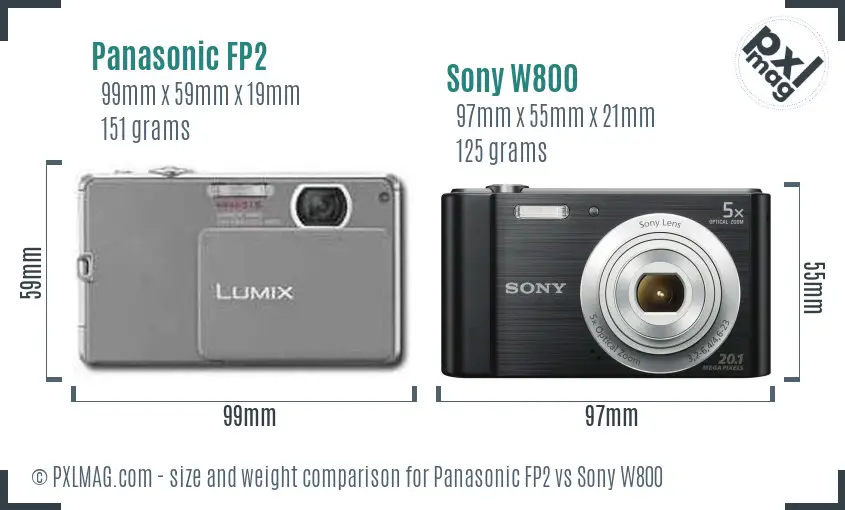 Panasonic FP2 vs Sony W800 size comparison
