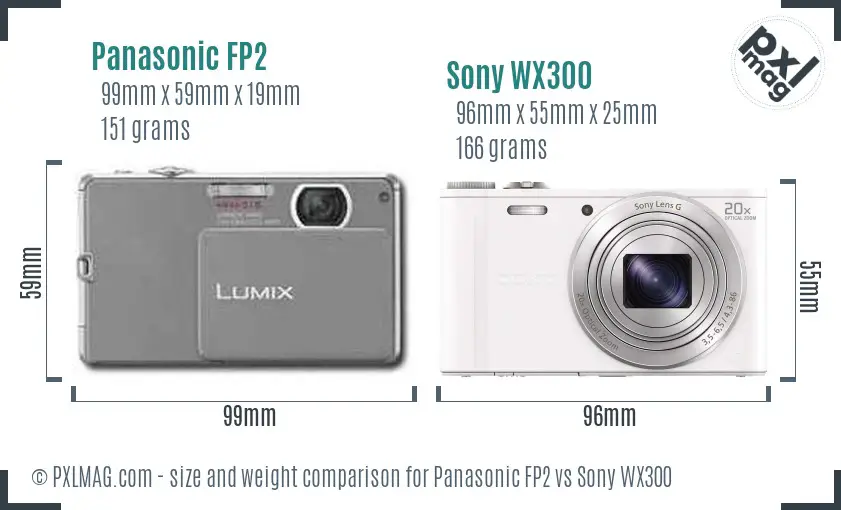 Panasonic FP2 vs Sony WX300 size comparison
