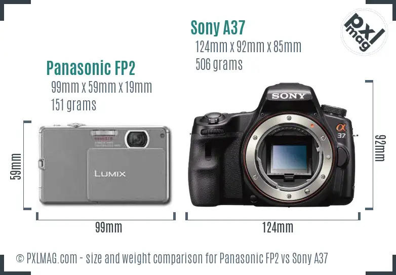 Panasonic FP2 vs Sony A37 size comparison