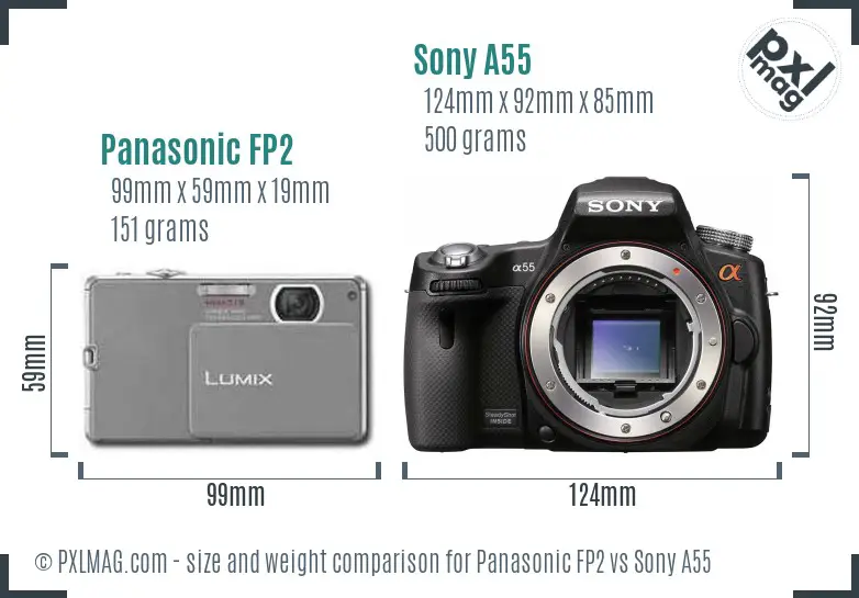 Panasonic FP2 vs Sony A55 size comparison