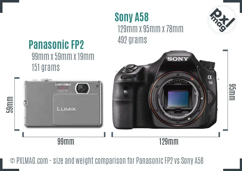 Panasonic FP2 vs Sony A58 size comparison