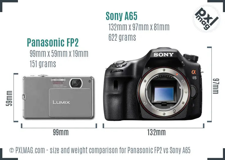 Panasonic FP2 vs Sony A65 size comparison