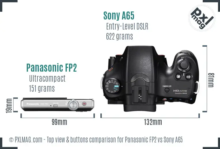 Panasonic FP2 vs Sony A65 top view buttons comparison