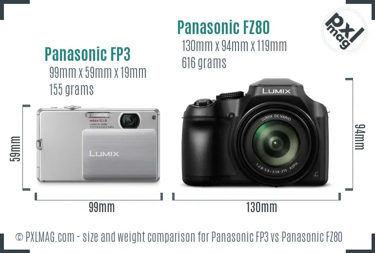Panasonic FP3 vs Panasonic FZ80 size comparison