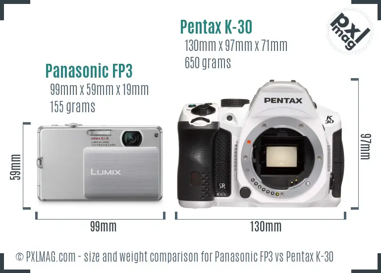 Panasonic FP3 vs Pentax K-30 size comparison