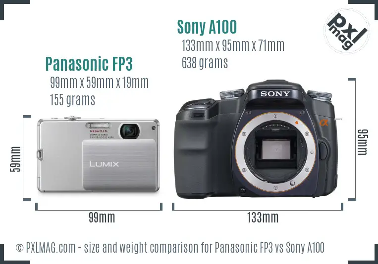 Panasonic FP3 vs Sony A100 size comparison