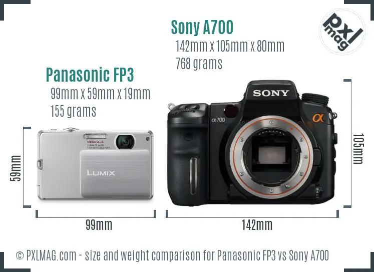 Panasonic FP3 vs Sony A700 size comparison