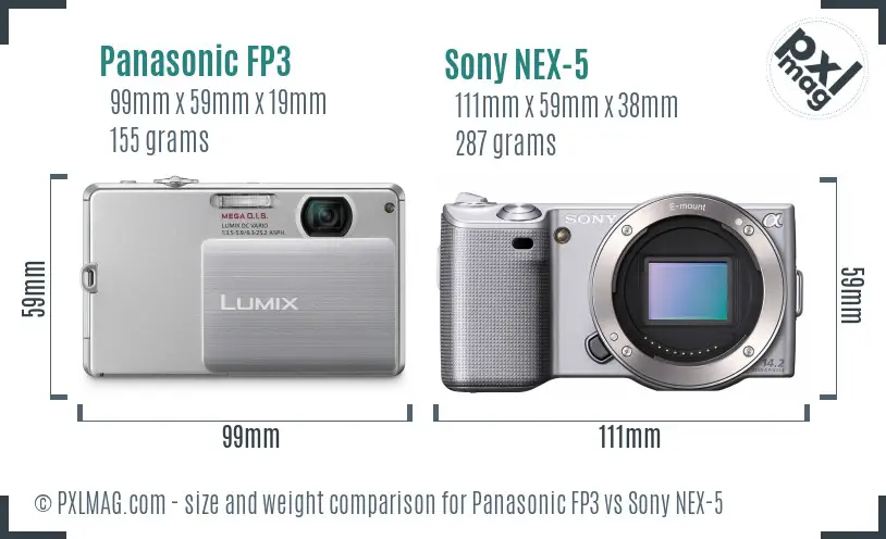 Panasonic FP3 vs Sony NEX-5 size comparison