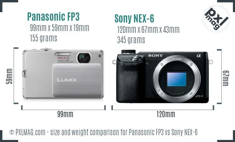 Panasonic FP3 vs Sony NEX-6 size comparison