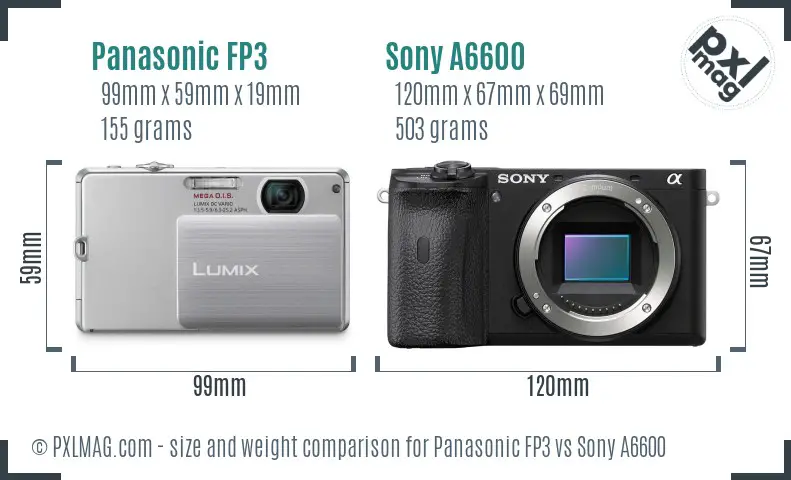 Panasonic FP3 vs Sony A6600 size comparison