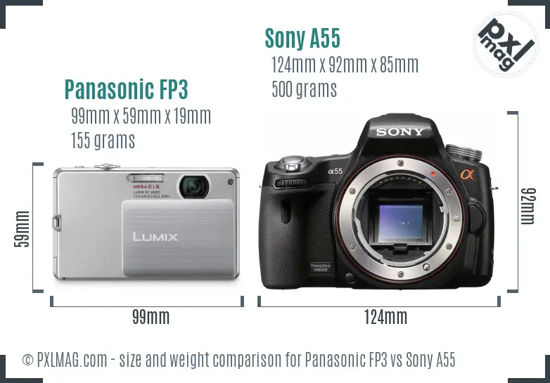 Panasonic FP3 vs Sony A55 size comparison