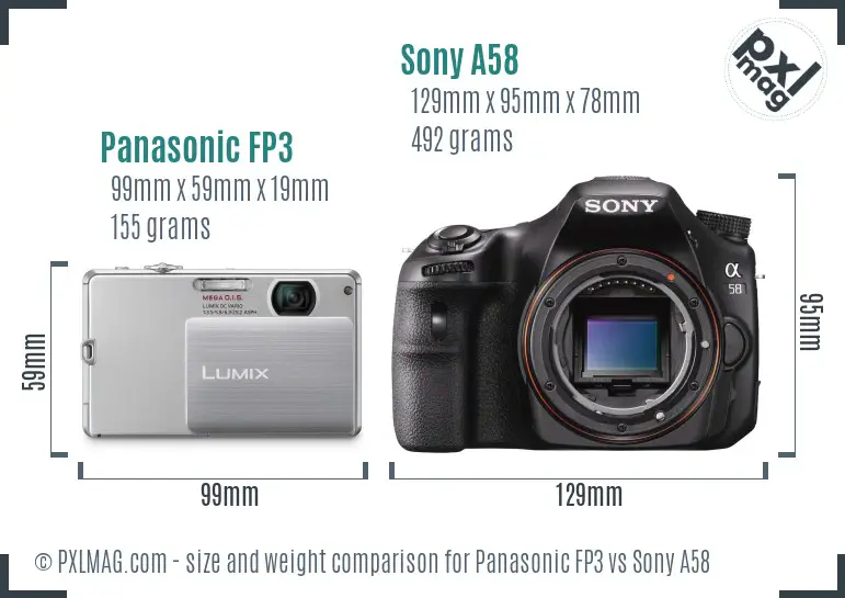 Panasonic FP3 vs Sony A58 size comparison