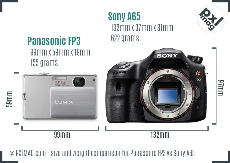 Panasonic FP3 vs Sony A65 size comparison