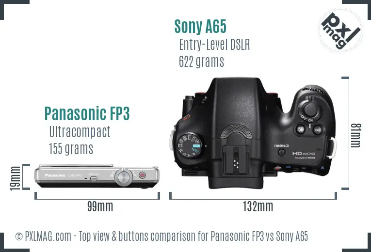 Panasonic FP3 vs Sony A65 top view buttons comparison