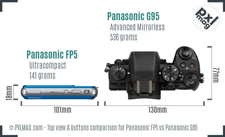 Panasonic FP5 vs Panasonic G95 top view buttons comparison