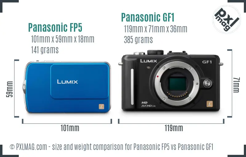 Panasonic FP5 vs Panasonic GF1 size comparison