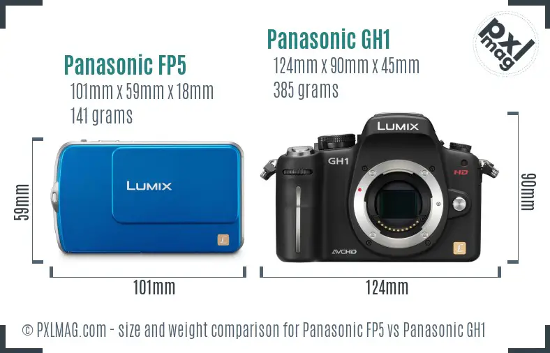 Panasonic FP5 vs Panasonic GH1 size comparison