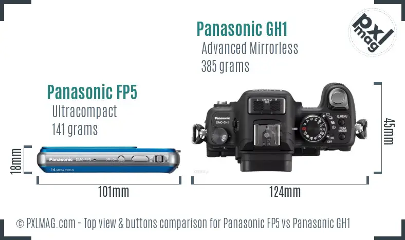 Panasonic FP5 vs Panasonic GH1 top view buttons comparison