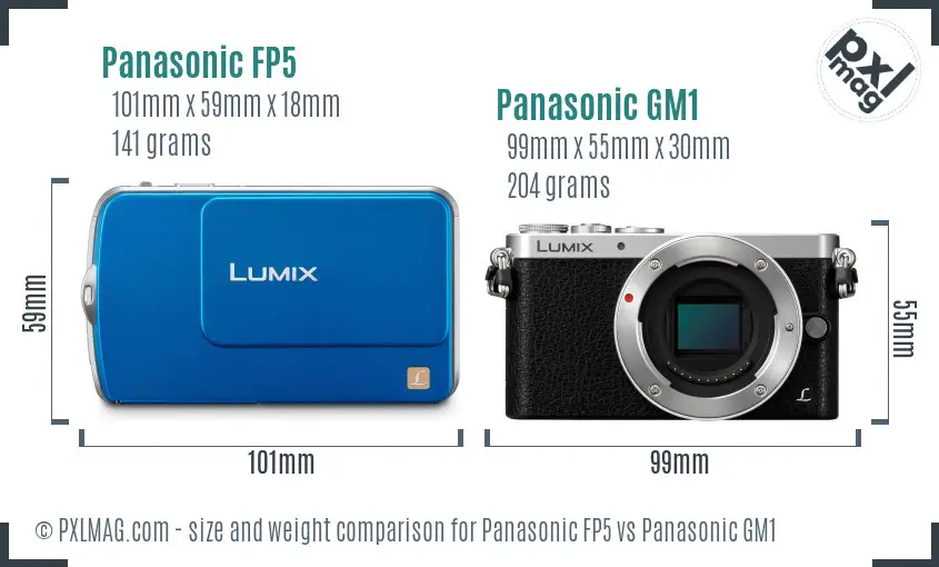 Panasonic FP5 vs Panasonic GM1 size comparison