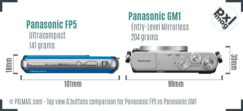 Panasonic FP5 vs Panasonic GM1 top view buttons comparison