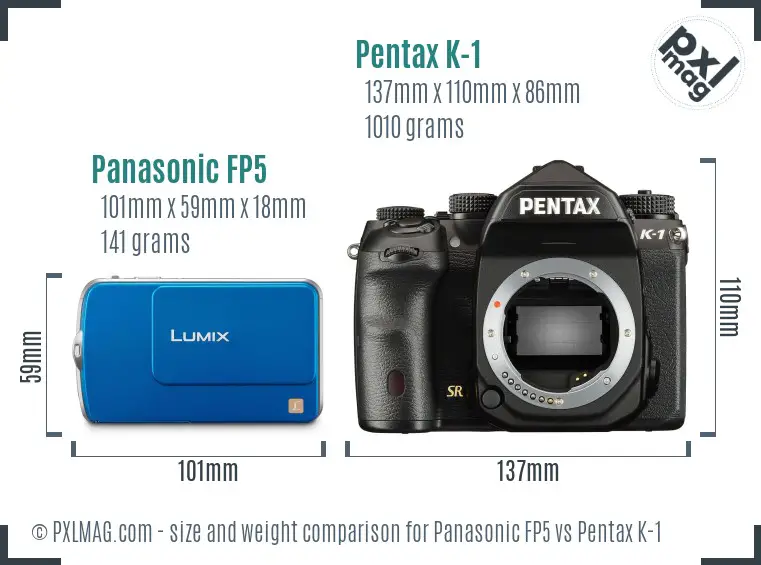 Panasonic FP5 vs Pentax K-1 size comparison