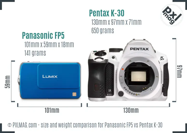 Panasonic FP5 vs Pentax K-30 size comparison