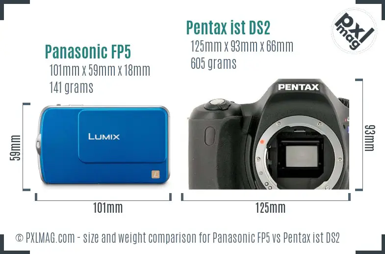 Panasonic FP5 vs Pentax ist DS2 size comparison