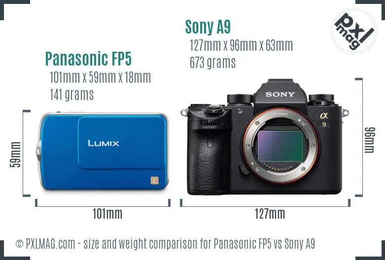 Panasonic FP5 vs Sony A9 size comparison
