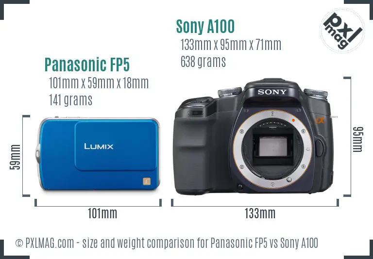 Panasonic FP5 vs Sony A100 size comparison