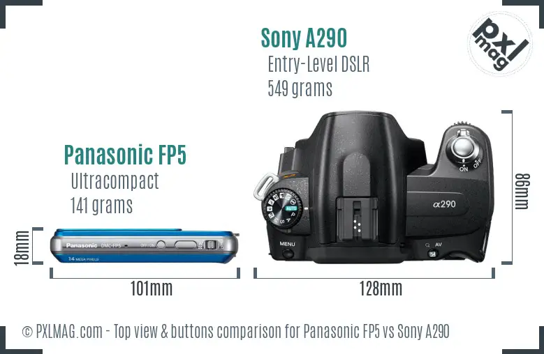 Panasonic FP5 vs Sony A290 top view buttons comparison