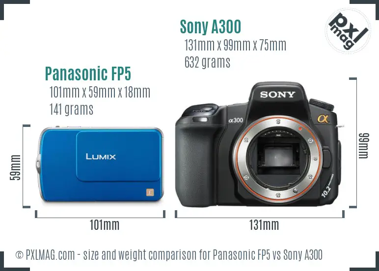 Panasonic FP5 vs Sony A300 size comparison