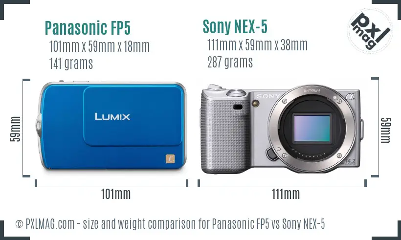 Panasonic FP5 vs Sony NEX-5 size comparison