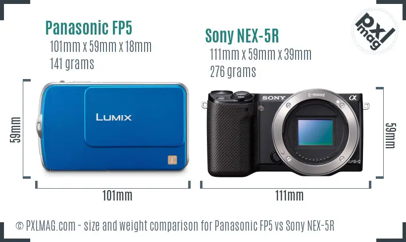 Panasonic FP5 vs Sony NEX-5R size comparison