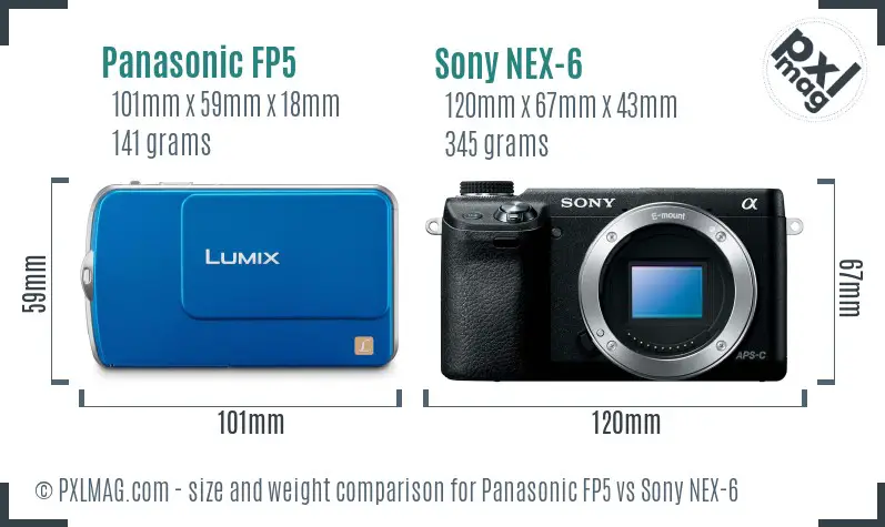 Panasonic FP5 vs Sony NEX-6 size comparison