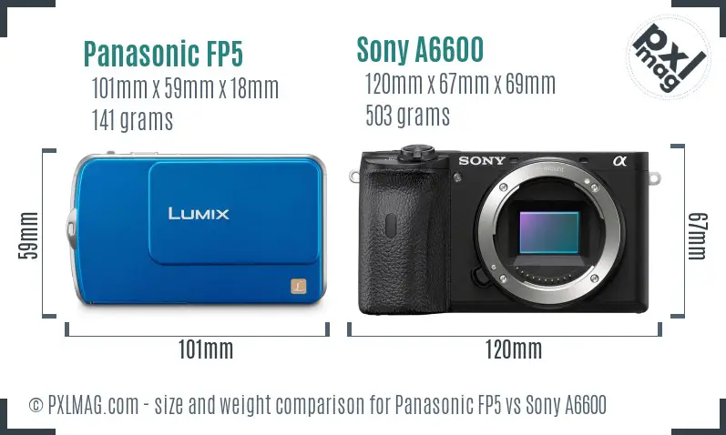 Panasonic FP5 vs Sony A6600 size comparison