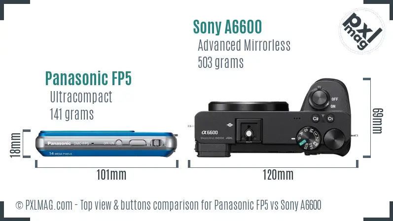 Panasonic FP5 vs Sony A6600 top view buttons comparison