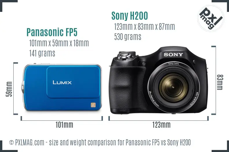 Panasonic FP5 vs Sony H200 size comparison