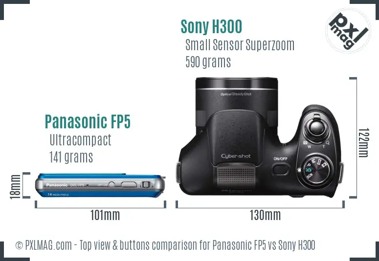 Panasonic FP5 vs Sony H300 top view buttons comparison