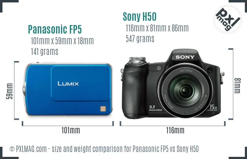 Panasonic FP5 vs Sony H50 size comparison
