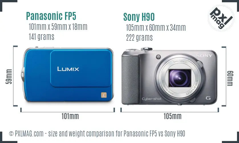 Panasonic FP5 vs Sony H90 size comparison
