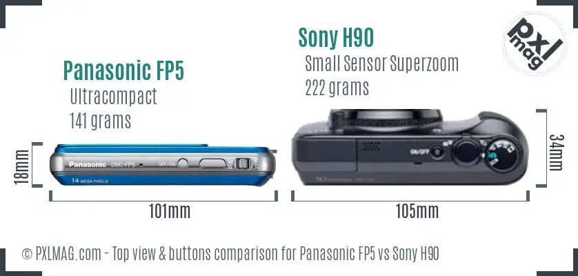 Panasonic FP5 vs Sony H90 top view buttons comparison