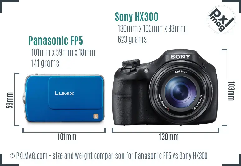 Panasonic FP5 vs Sony HX300 size comparison