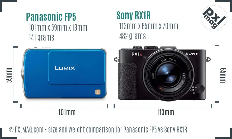 Panasonic FP5 vs Sony RX1R size comparison
