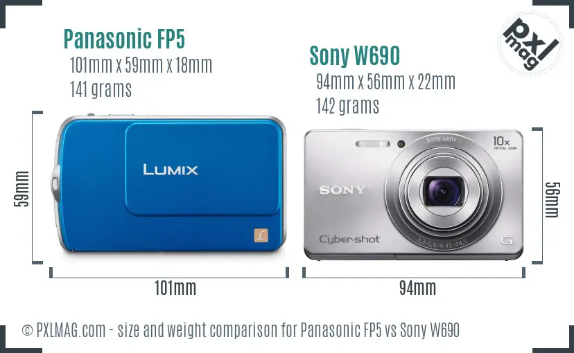 Panasonic FP5 vs Sony W690 size comparison