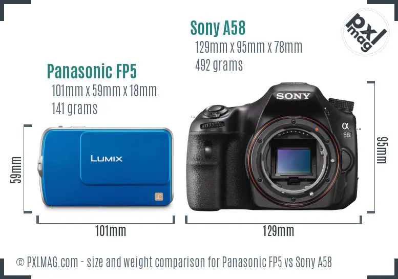 Panasonic FP5 vs Sony A58 size comparison