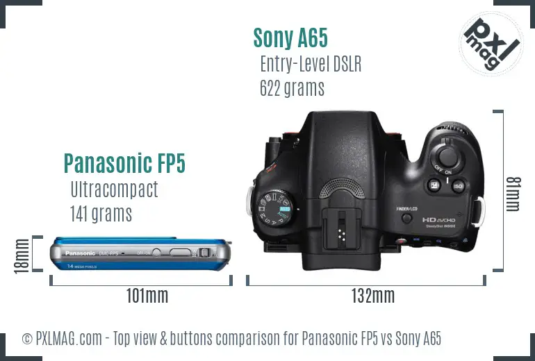 Panasonic FP5 vs Sony A65 top view buttons comparison