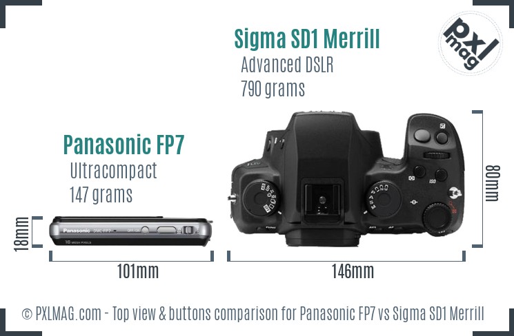 Panasonic FP7 vs Sigma SD1 Merrill top view buttons comparison