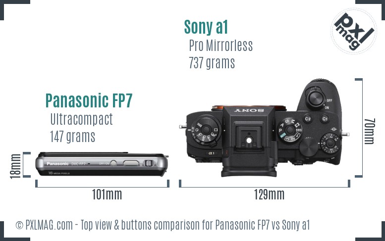 Panasonic FP7 vs Sony a1 top view buttons comparison