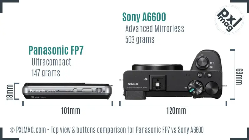 Panasonic FP7 vs Sony A6600 top view buttons comparison