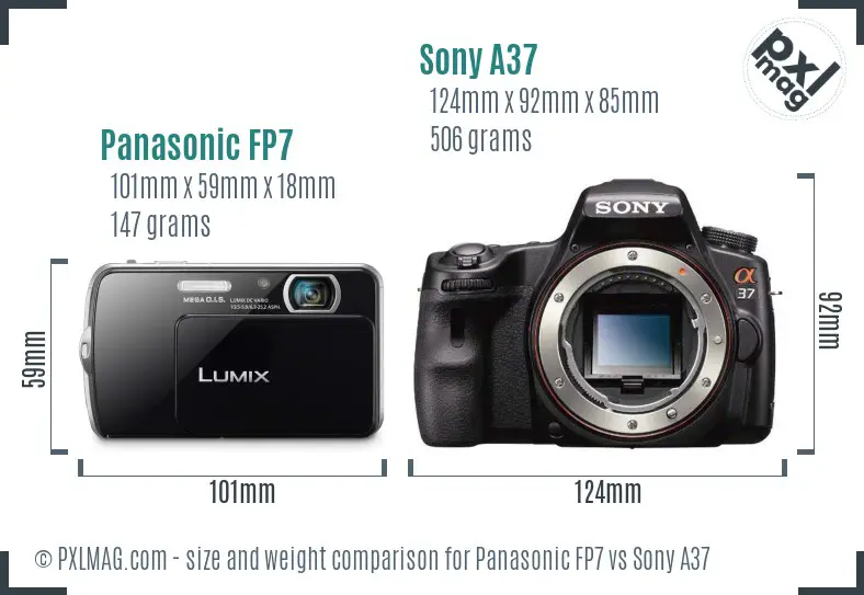 Panasonic FP7 vs Sony A37 size comparison